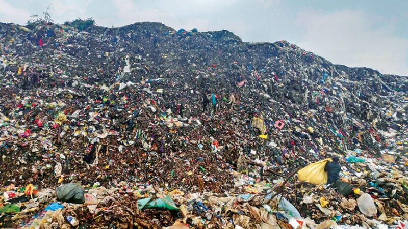 जुलाई तक डड्डूमाजरा के कूड़े के पहाड़ को साफ करने का लक्ष्य