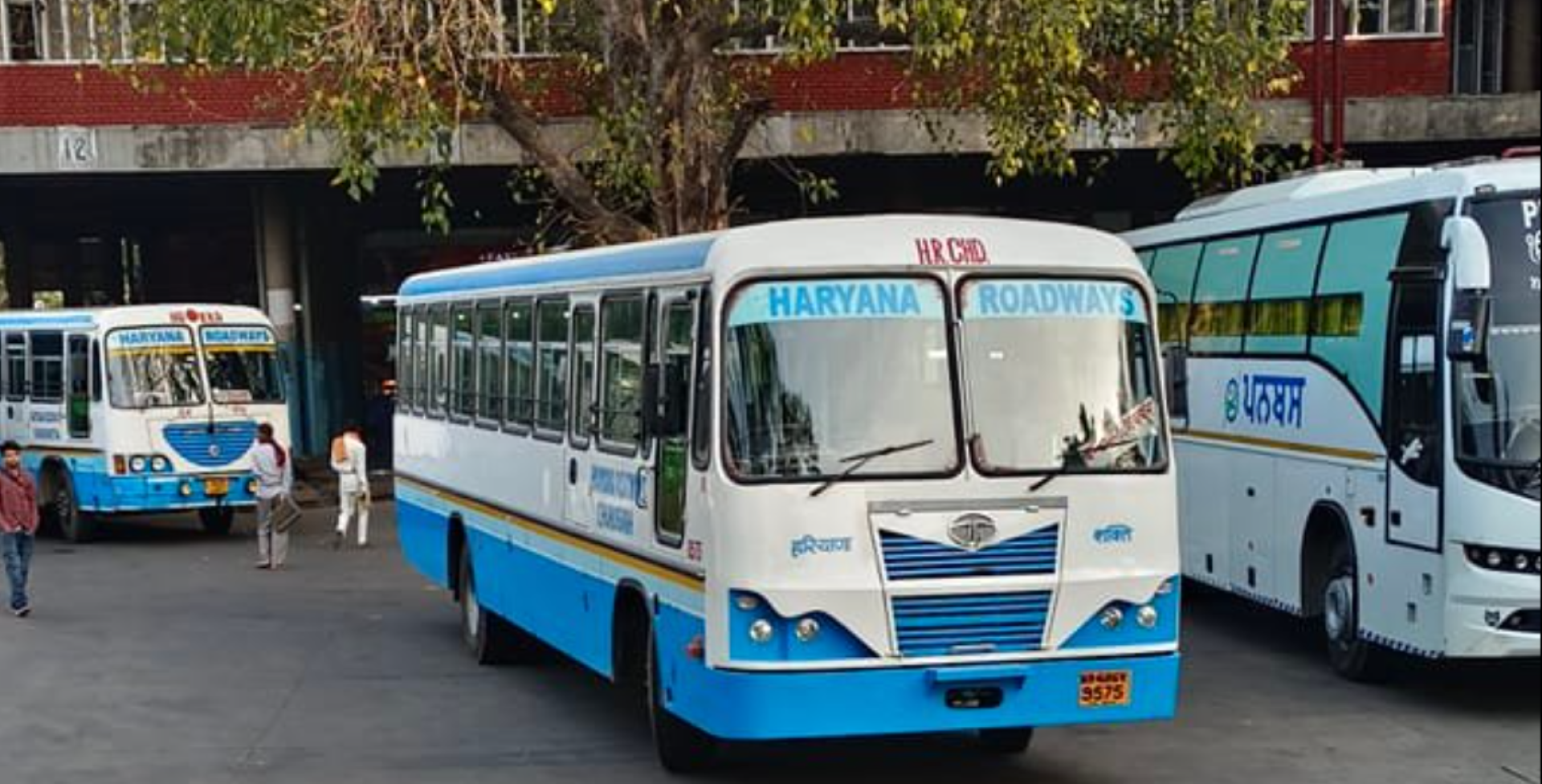 गलत दिशा में चलने पर हरियाणा रोडवेज की बस का किया चालान