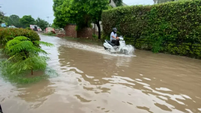 चंडीगढ़ में बरसात: सौ एमएम बारिश से बिगड़े हालात, घरों में घुसा पानी; मोहाली-पंचकूला में भी लोग परेशान