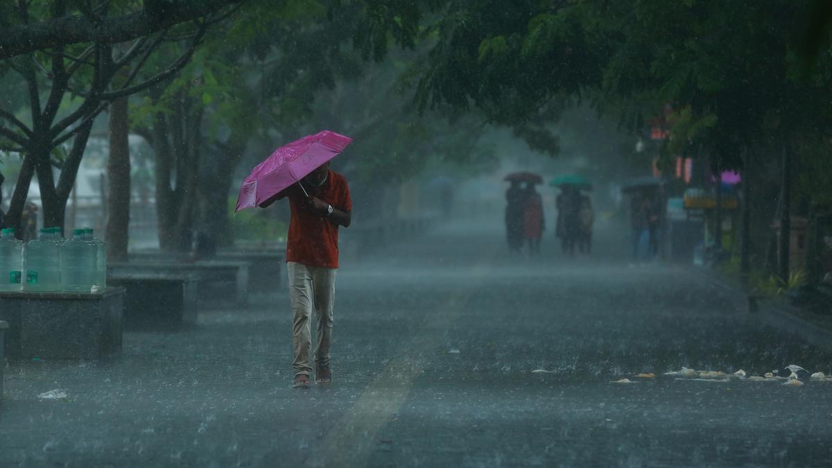 बारिश से बदला मौसम… कूल-कूल हुआ चंडीगढ़, उमस-गर्मी से राहत, आगे ऐसा रहेगा मौसम